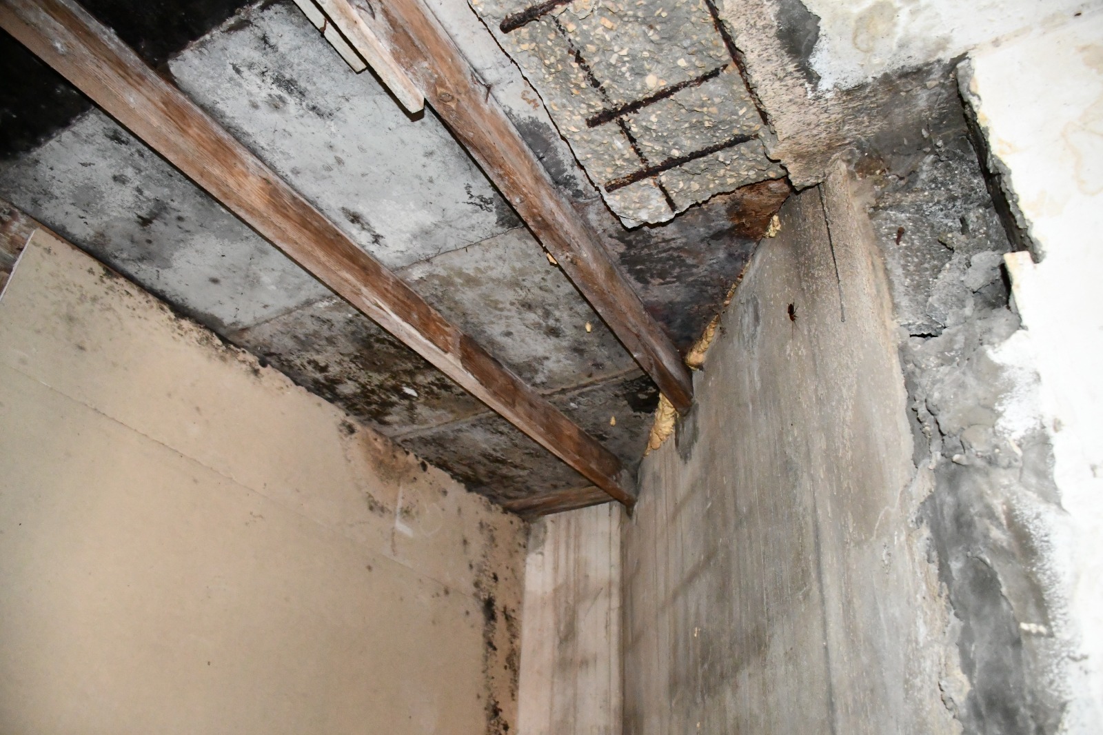 WhatsApp Image 2020-05-17 at 10.14.03 PM (1).jpeg.jpeg